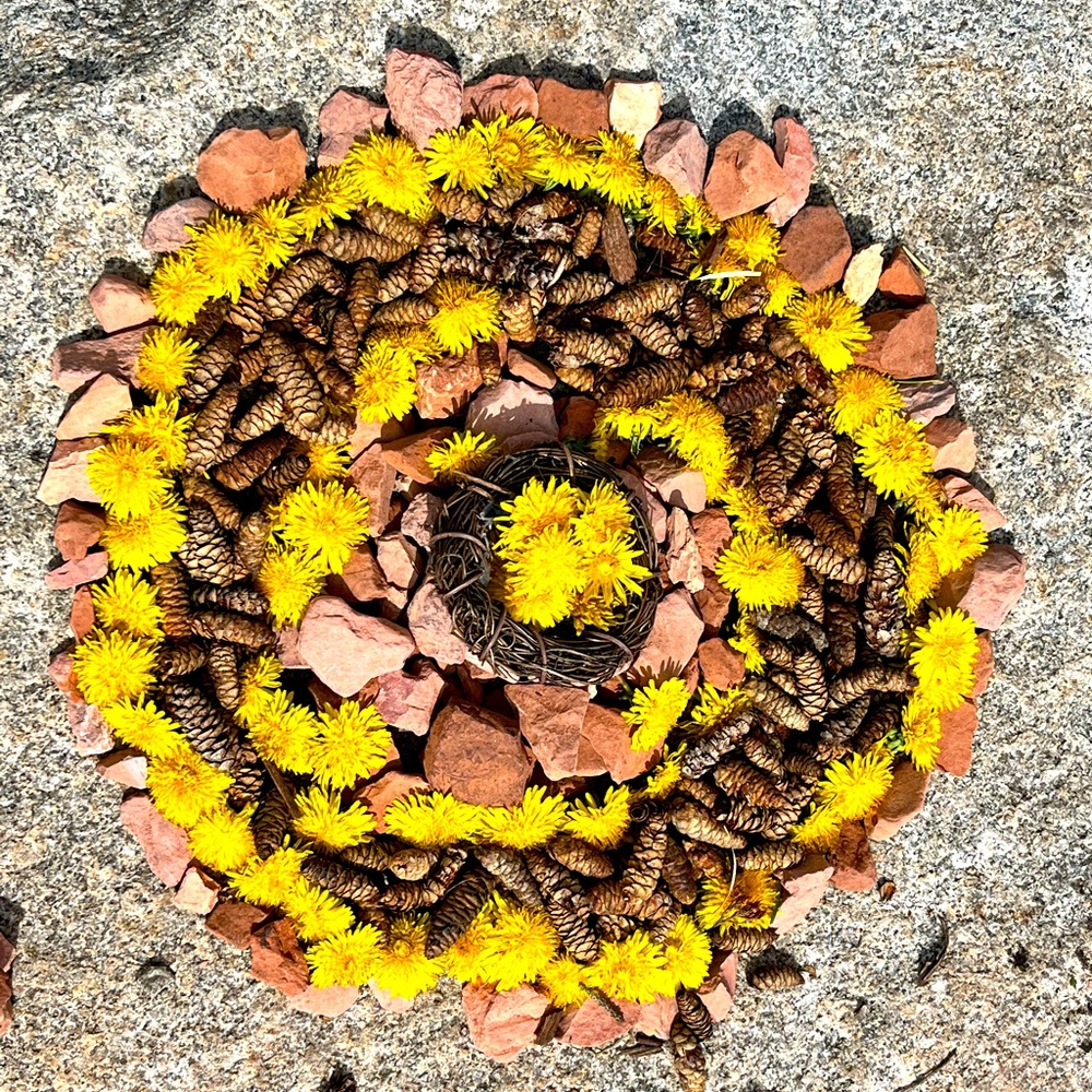 Meet your Posher, Beth